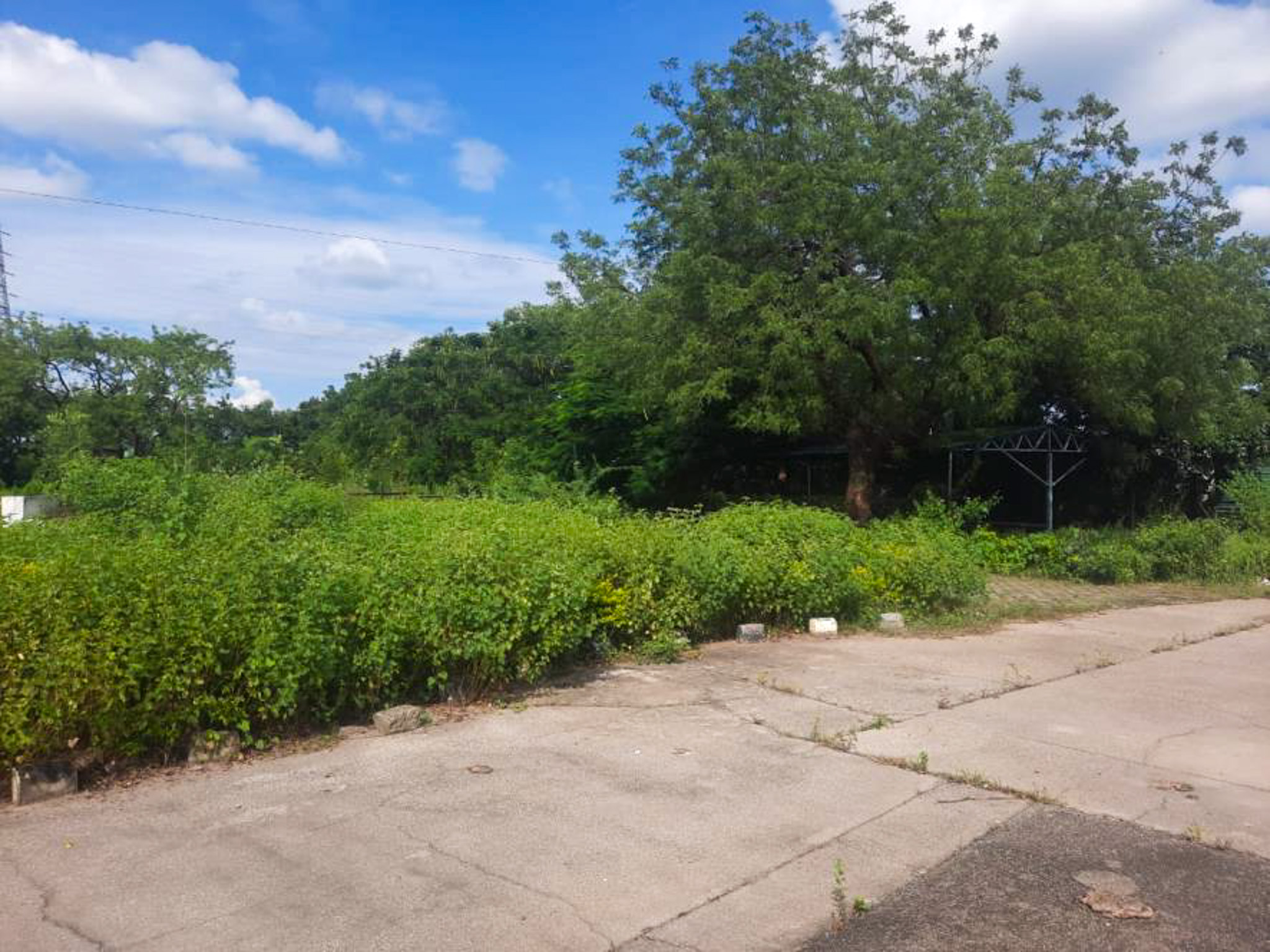 Factory Land & Building with Plant & Machinery for sale in Gat no.53,55,56,57 & 73 at Village Kund and Gat no. 419 at Village Dharangaon, Tal-Malkapur MS Malkapur — photo 14