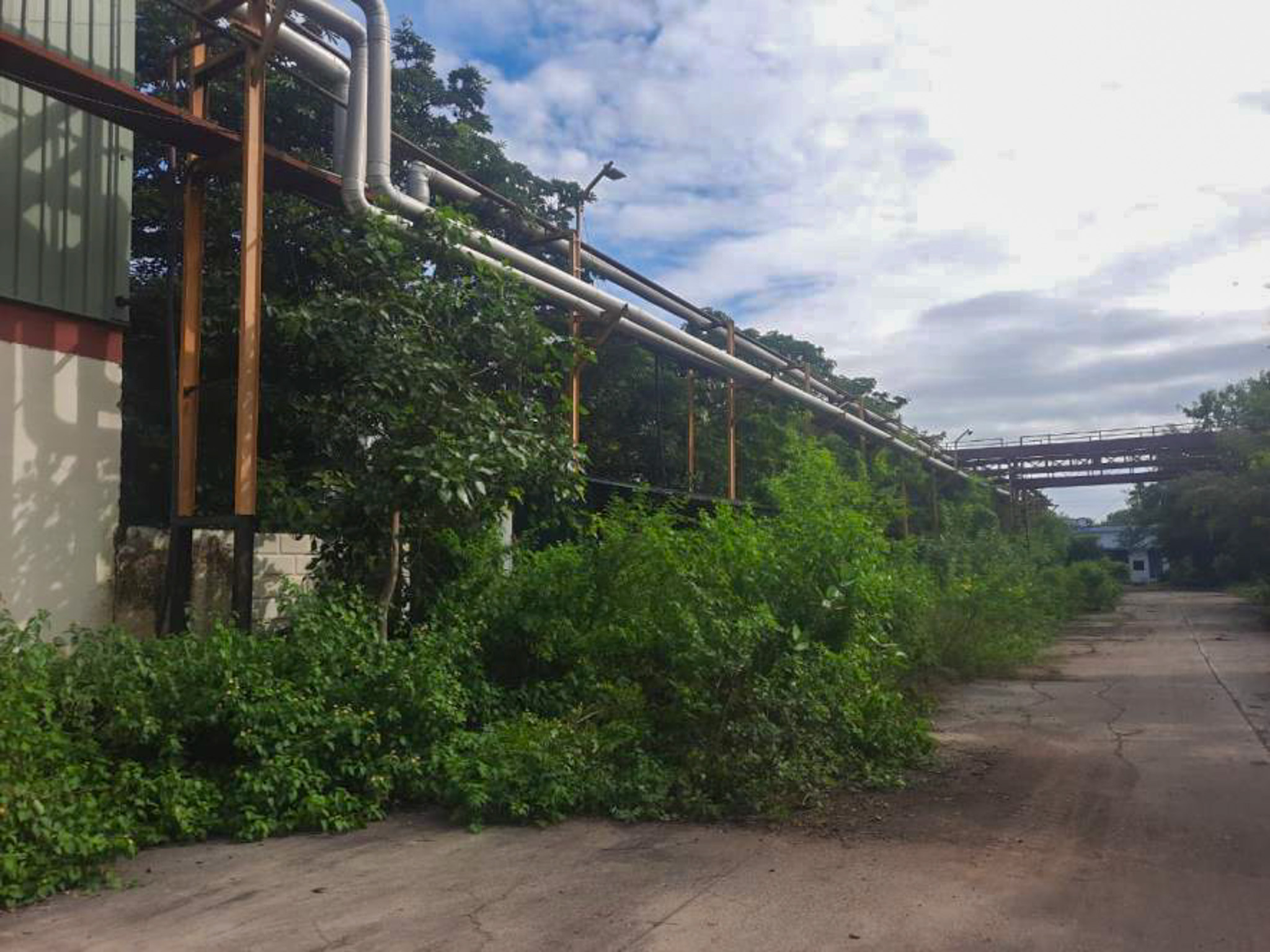 Factory Land & Building with Plant & Machinery for sale in Gat no.53,55,56,57 & 73 at Village Kund and Gat no. 419 at Village Dharangaon, Tal-Malkapur MS Malkapur — photo 24