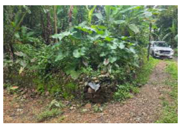 850 square meter Plot for sale in PADMAVATHY K A, Velloorkunnam village Muvattupuzha — photo 2