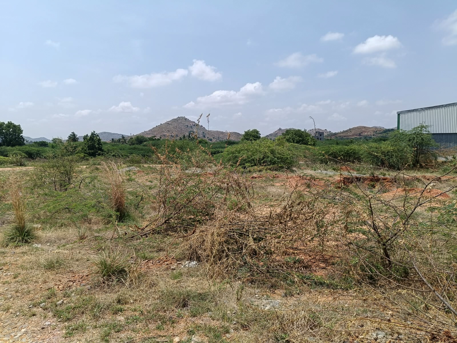 Industrial Plot with Factory Building for sale in Industrial Park Penukonda Village Penukonda District Anantapuramu Pin 515110 Andhra Pradesh PENUKONDA — photo 9