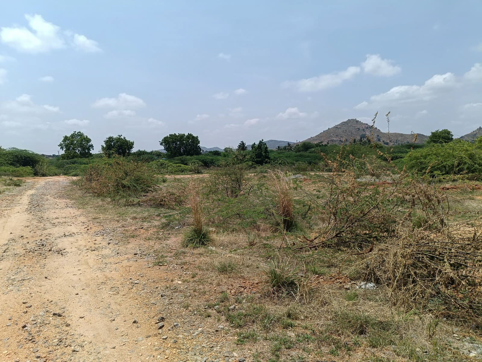 Industrial Plot with Factory Building for sale in Industrial Park Penukonda Village Penukonda District Anantapuramu Pin 515110 Andhra Pradesh PENUKONDA — photo 10
