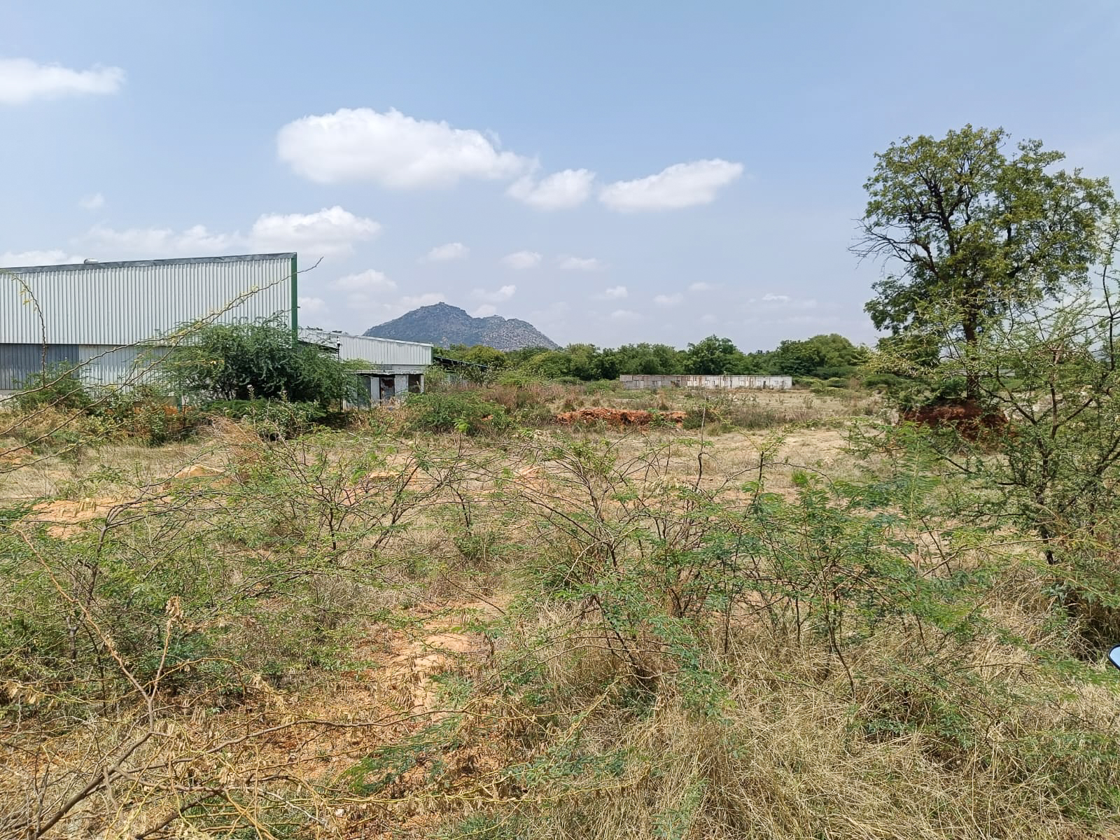 Industrial Plot with Factory Building for sale in Industrial Park Penukonda Village Penukonda District Anantapuramu Pin 515110 Andhra Pradesh PENUKONDA — photo 11