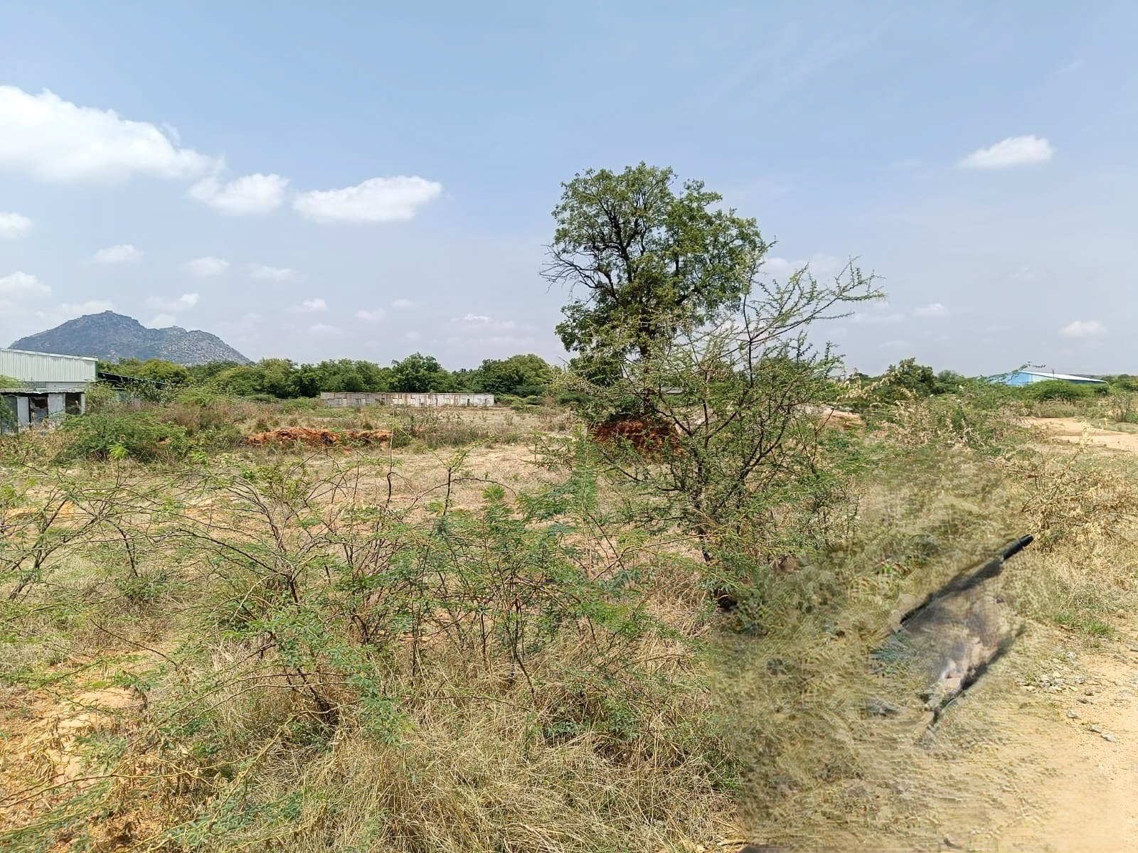 Industrial Plot with Factory Building for sale in Industrial Park Penukonda Village Penukonda District Anantapuramu Pin 515110 Andhra Pradesh PENUKONDA — photo 13