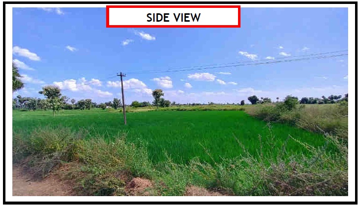 31828 square feet Plot for sale in Tiruvannamalai