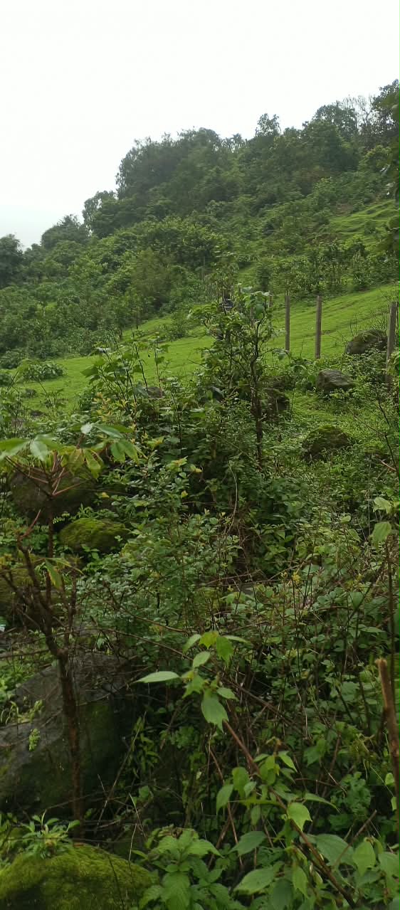 Non Agriculture Open land for sale in Prime location advantage adjacency to Della Adventure Park & Resort hilly terrain. Lonavala — photo 2