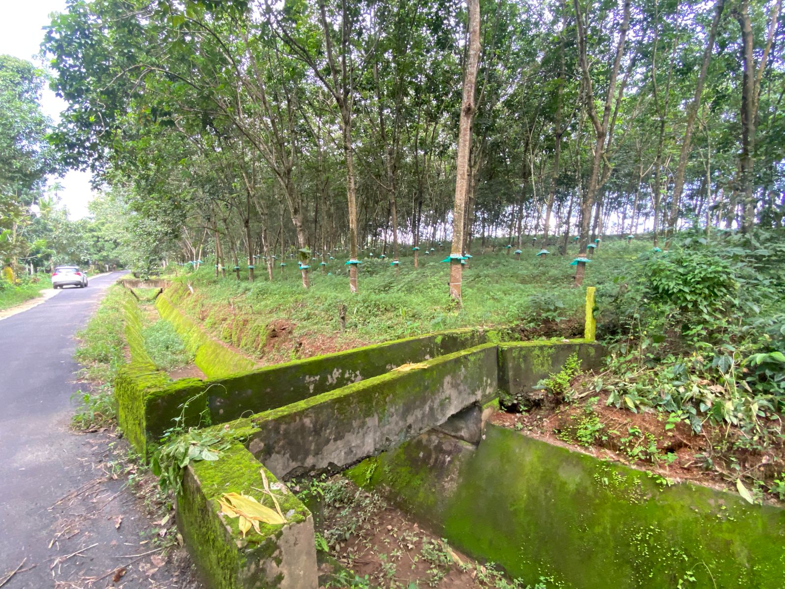 Plot for sale in Amballoor
