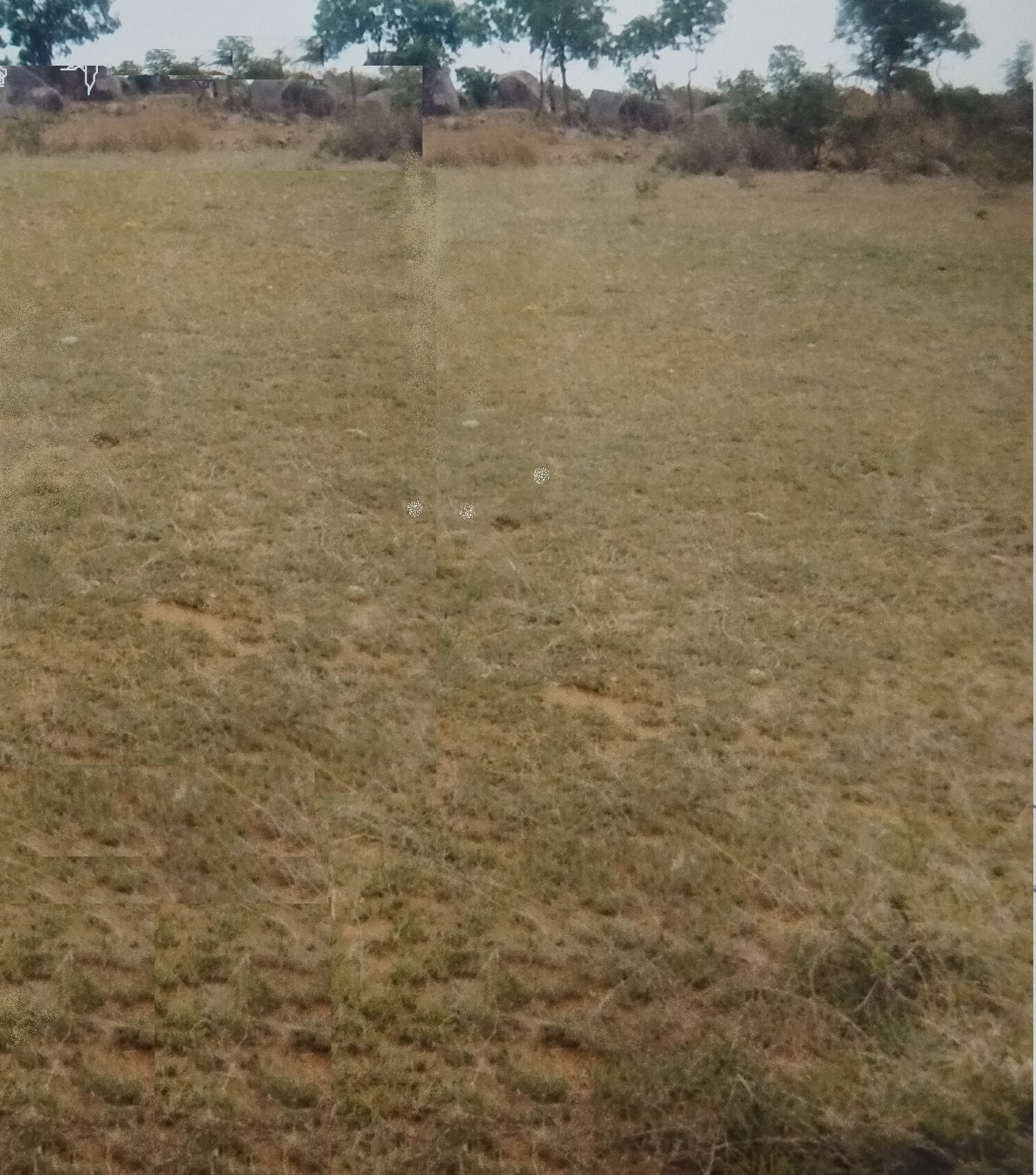 Plot for sale in Suryapet