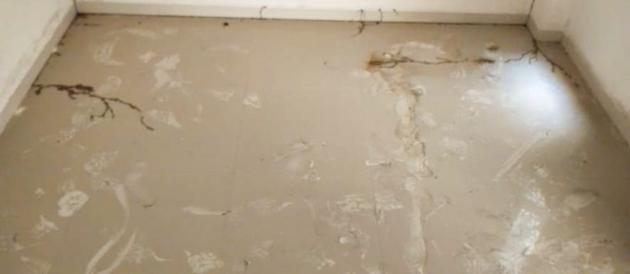 Flat for sale in Valsad — photo 2