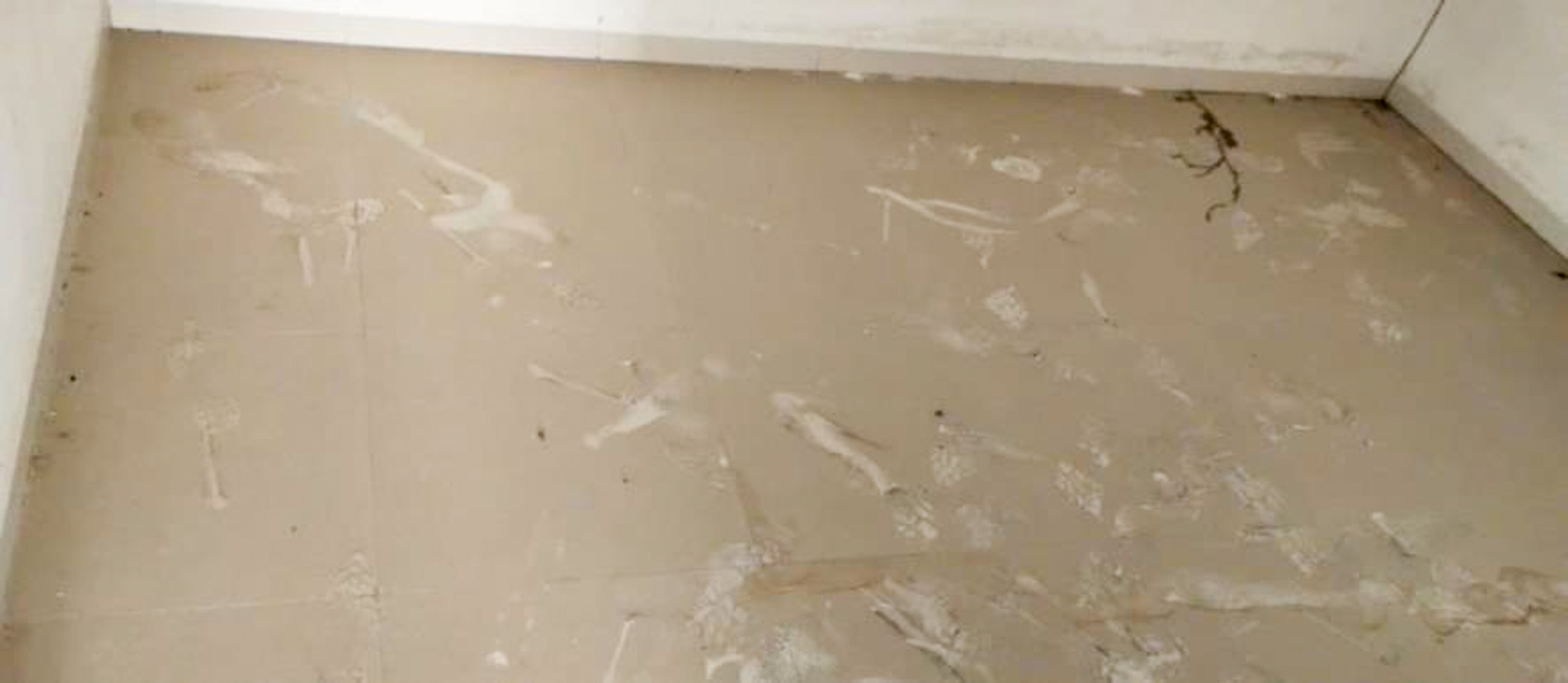 Flat for sale in Valsad