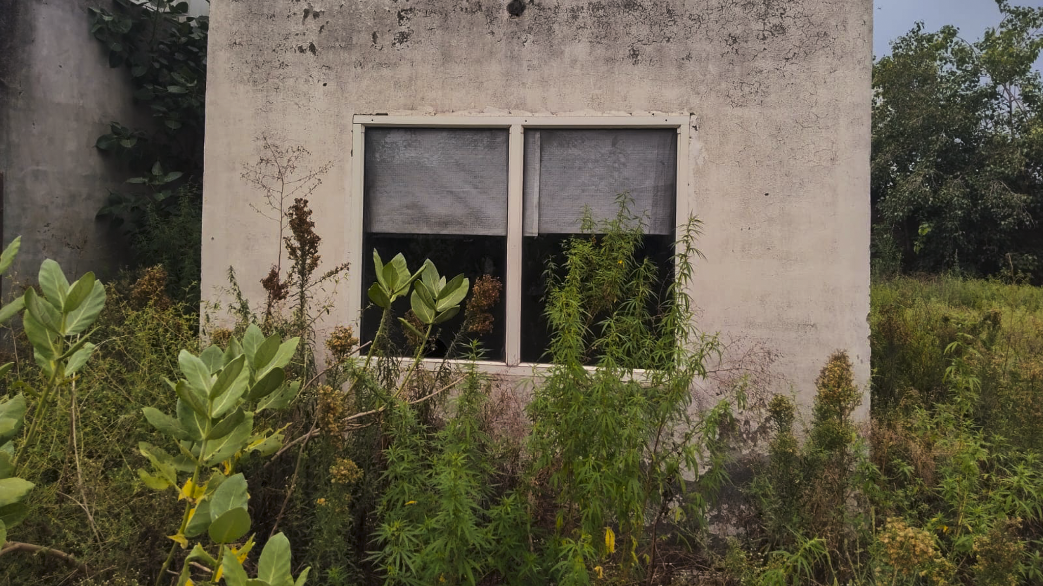 Industrial Plot with Factory Building for sale in kaithal Kaithal — photo 3