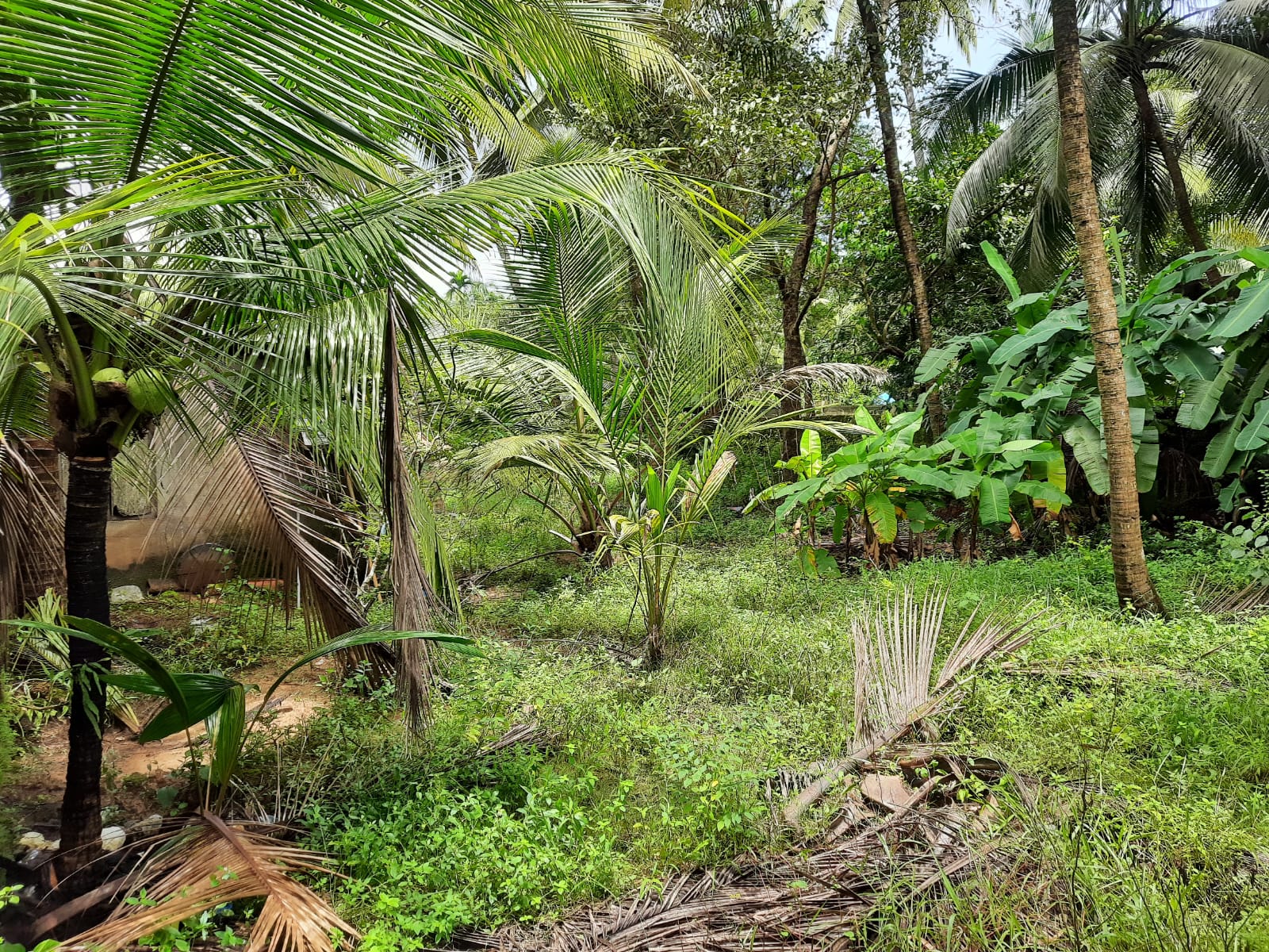 Individual House for sale in Mulki