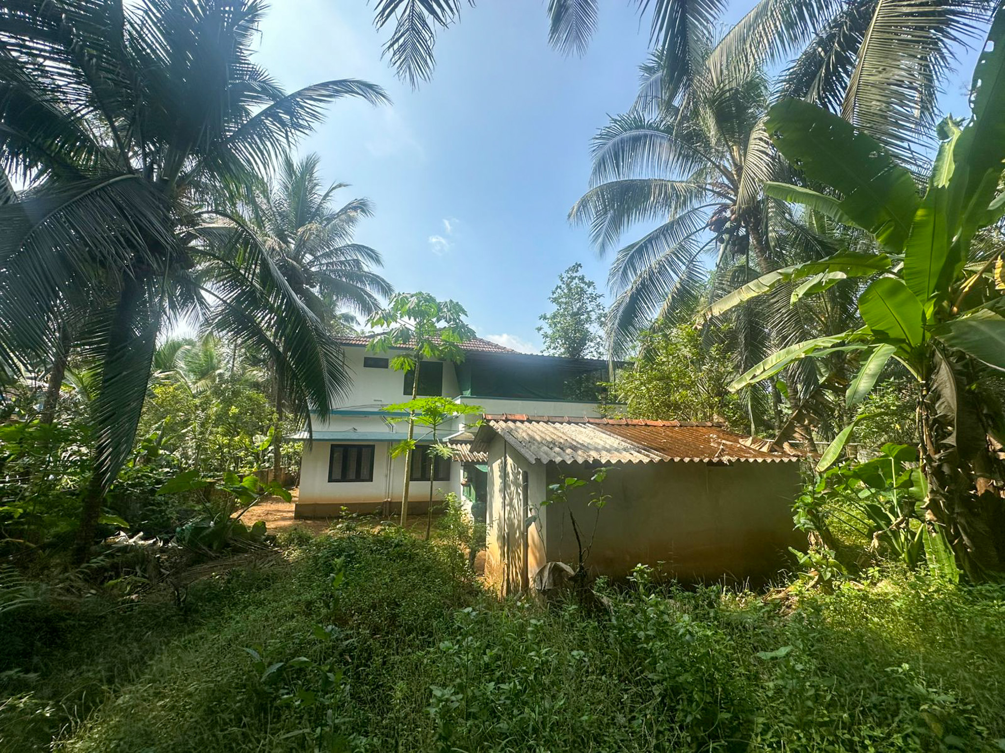 Individual House for sale in Thiruvambadi , Thamarasseri , Kozhikode Koduvally — photo 9