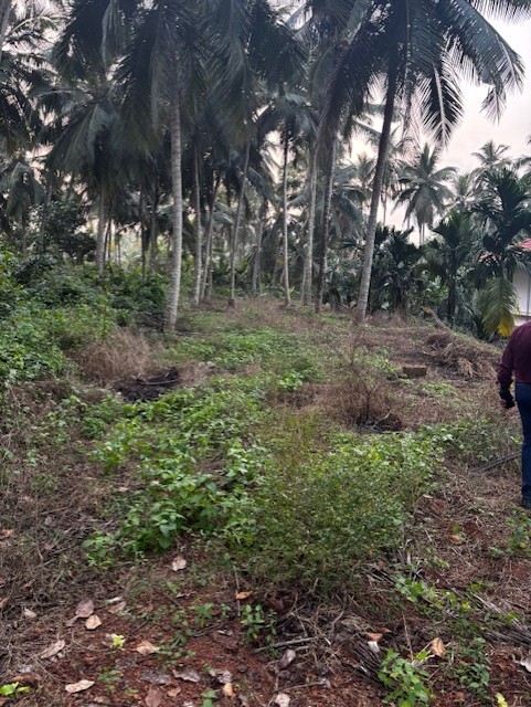 Plot for sale in Kannamangalam