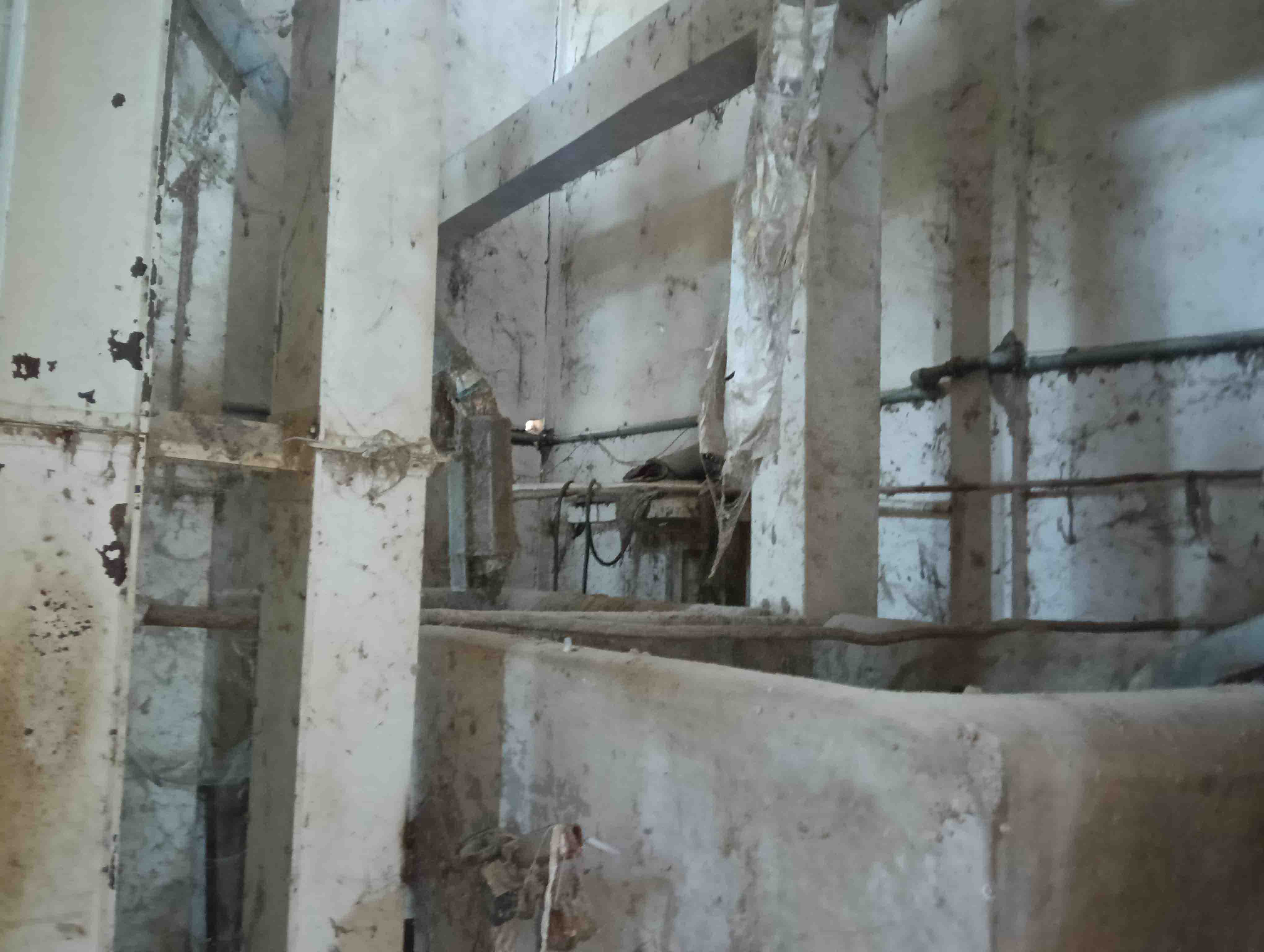 Rice Mill Plant With Machinary for sale in Moje - Vanzana, Tal - Chikhli Chikhli — photo 10
