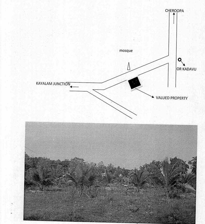 Plot for sale in Vacant Land, Mavoor, Kozhikode Pantheeramkavu — photo 1