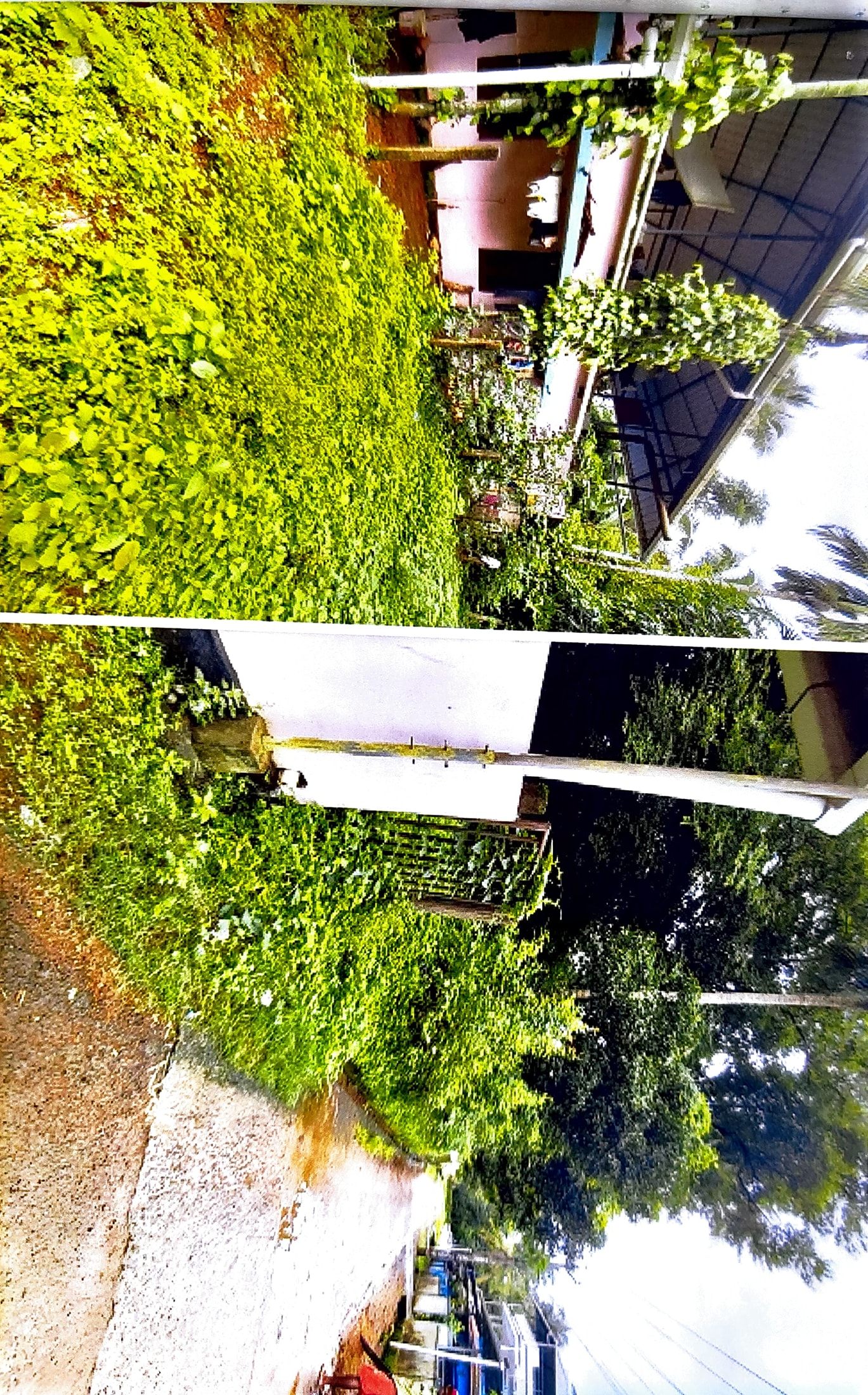 LAND ONLY for sale in Akathiyoor