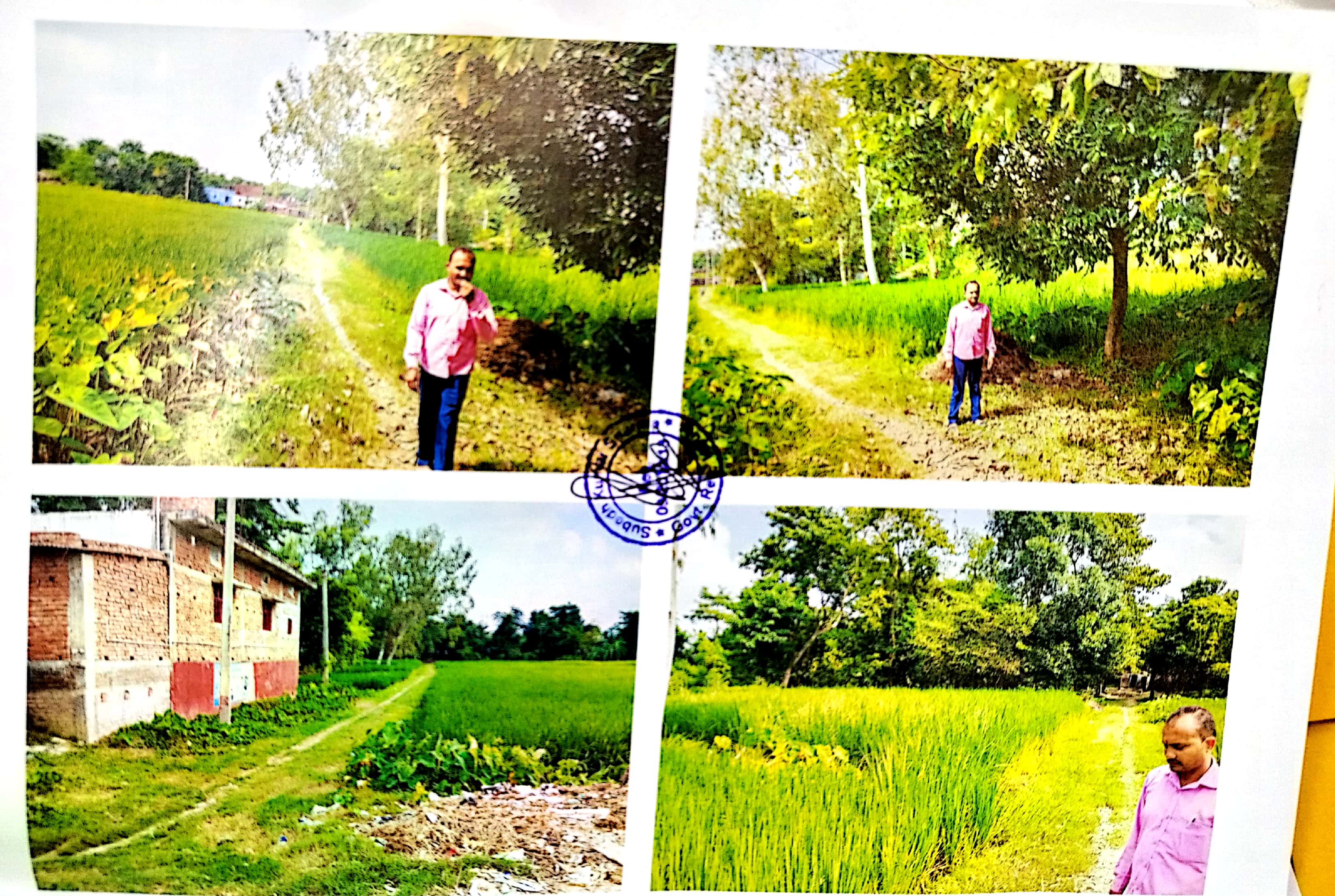 Plot for sale in Bairganiya Bairgania