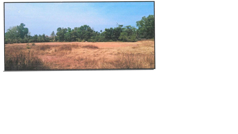 Plot for sale in SULLIA Puttur