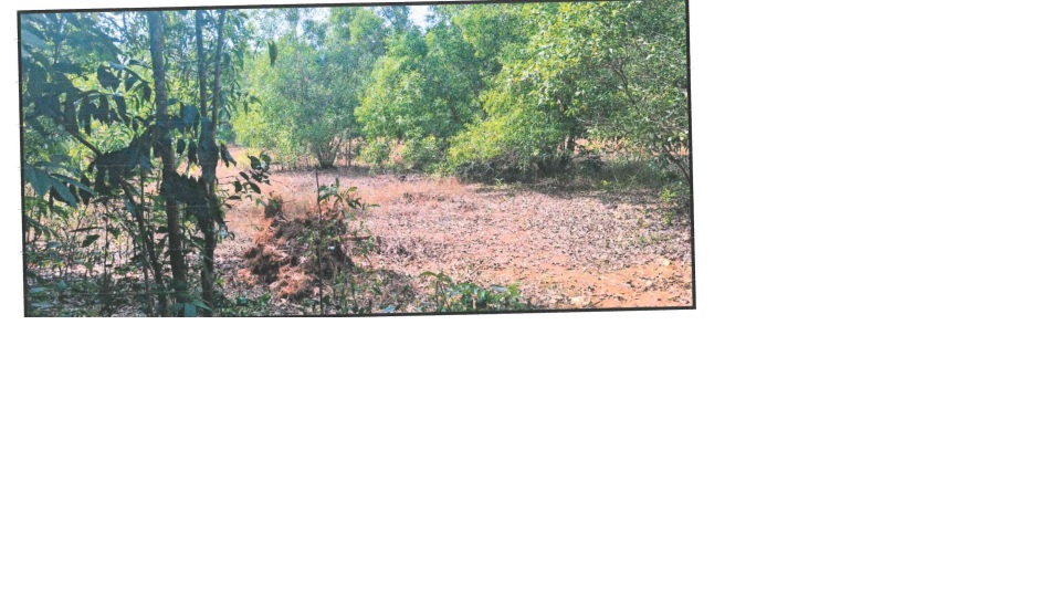 Plot for sale in SULLIA Puttur