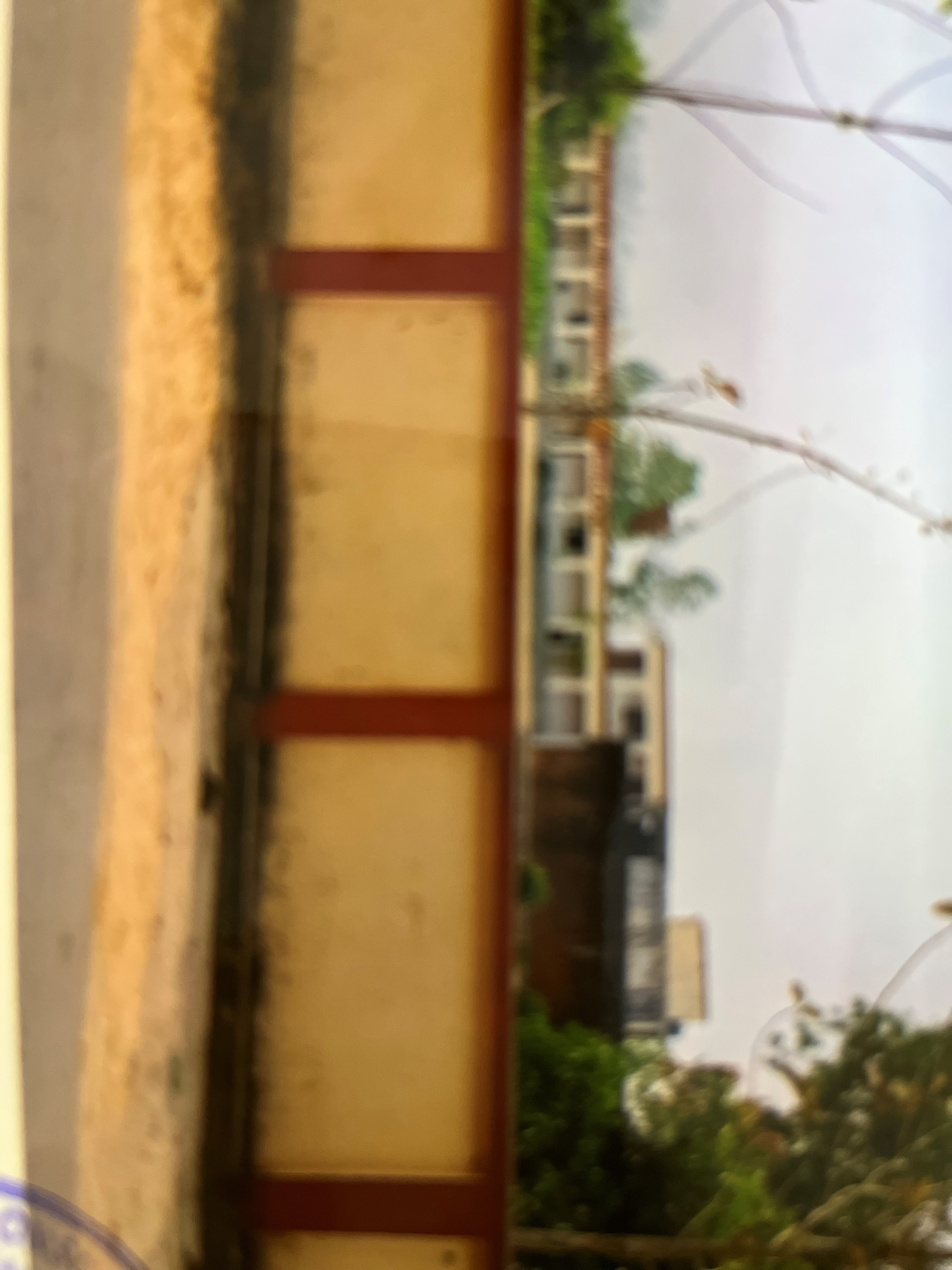 School for sale in Padrauna — photo 1