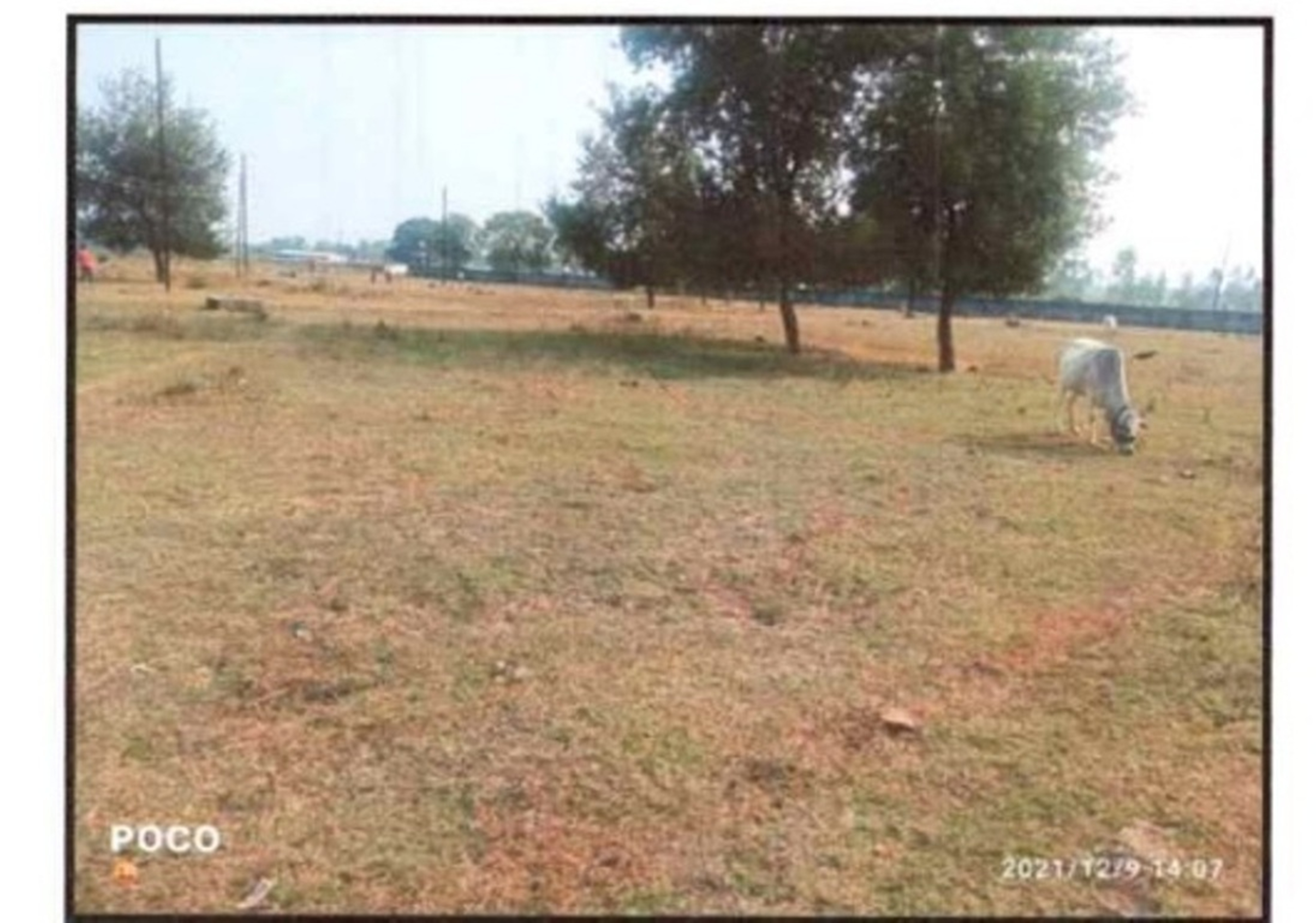Villa for sale in Raisen
