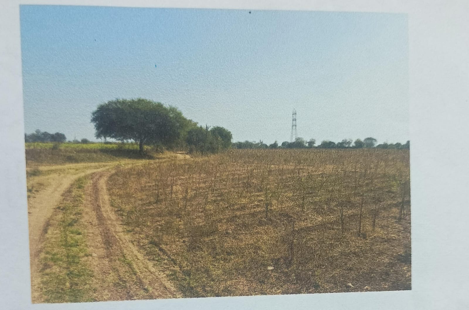 Plot for sale in Burahanpur Burhanpur