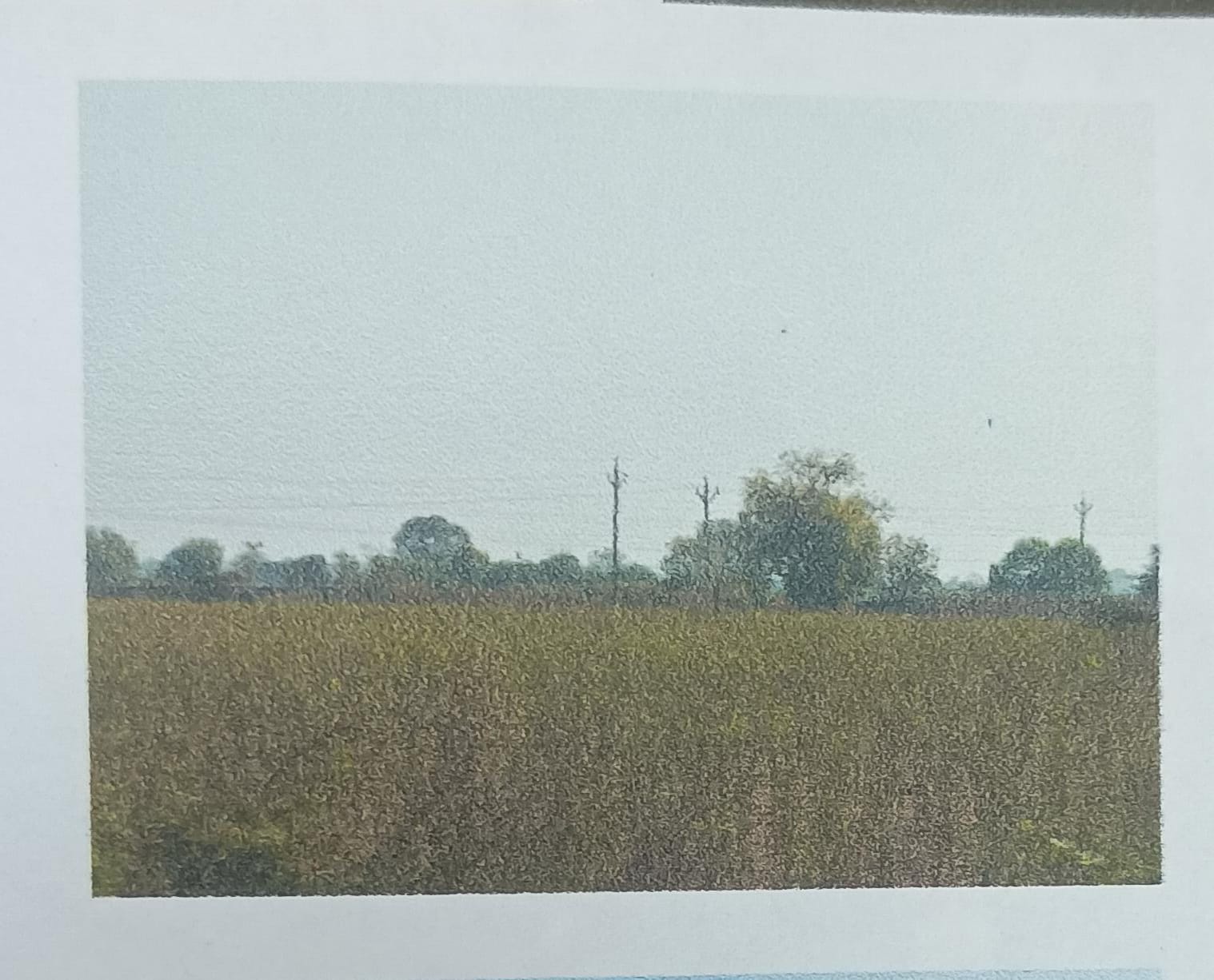 Plot for sale in Burhanpur Burhanpur
