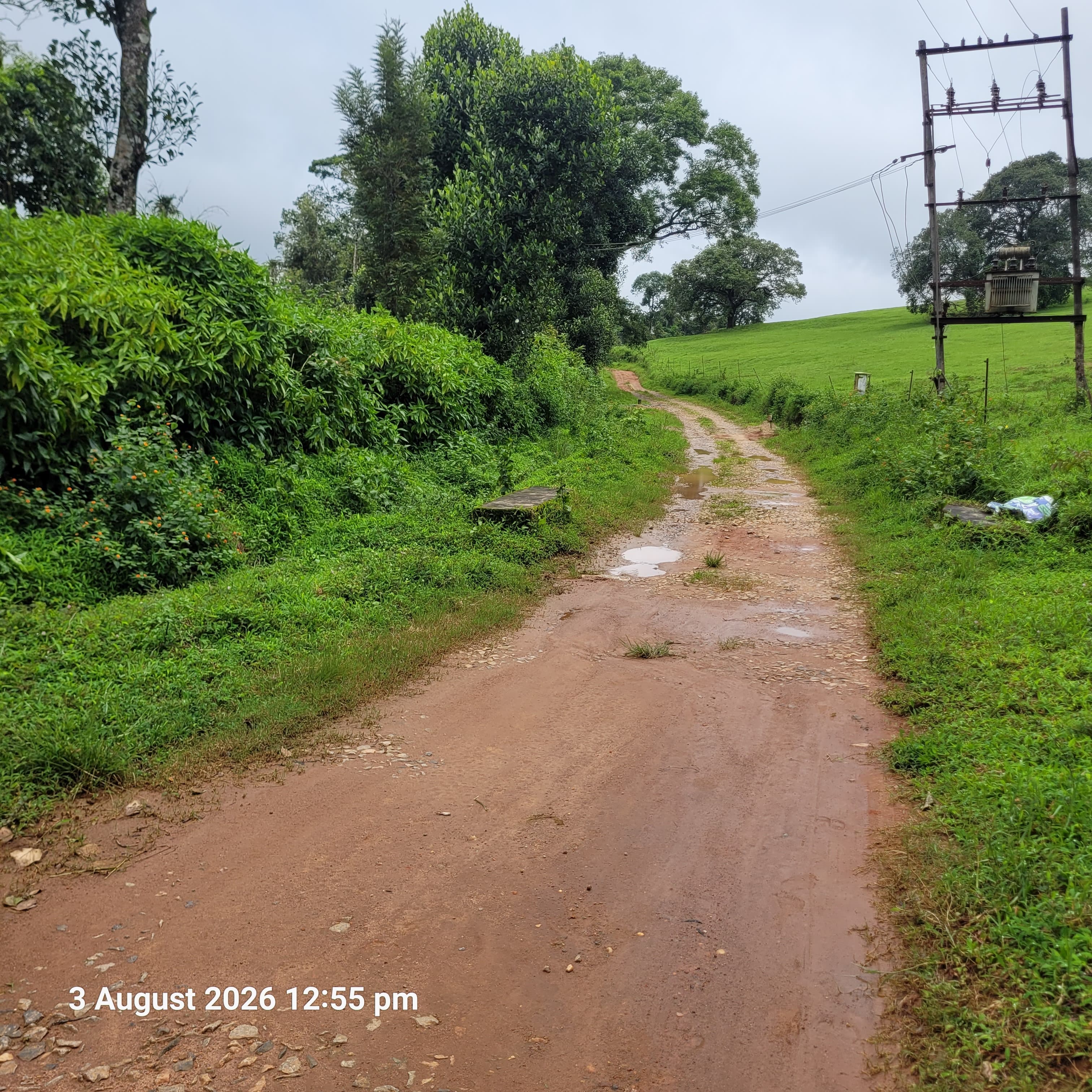Agriculture Land for sale in KURUBATTUR VILLAGE Sakleshpur