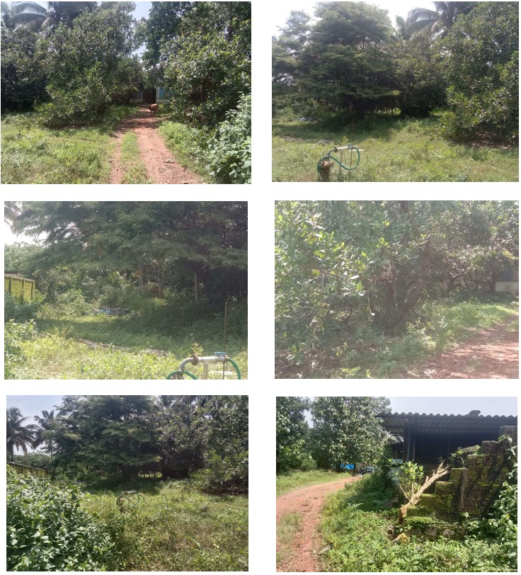 Industrial Plot for sale in Alevoor
