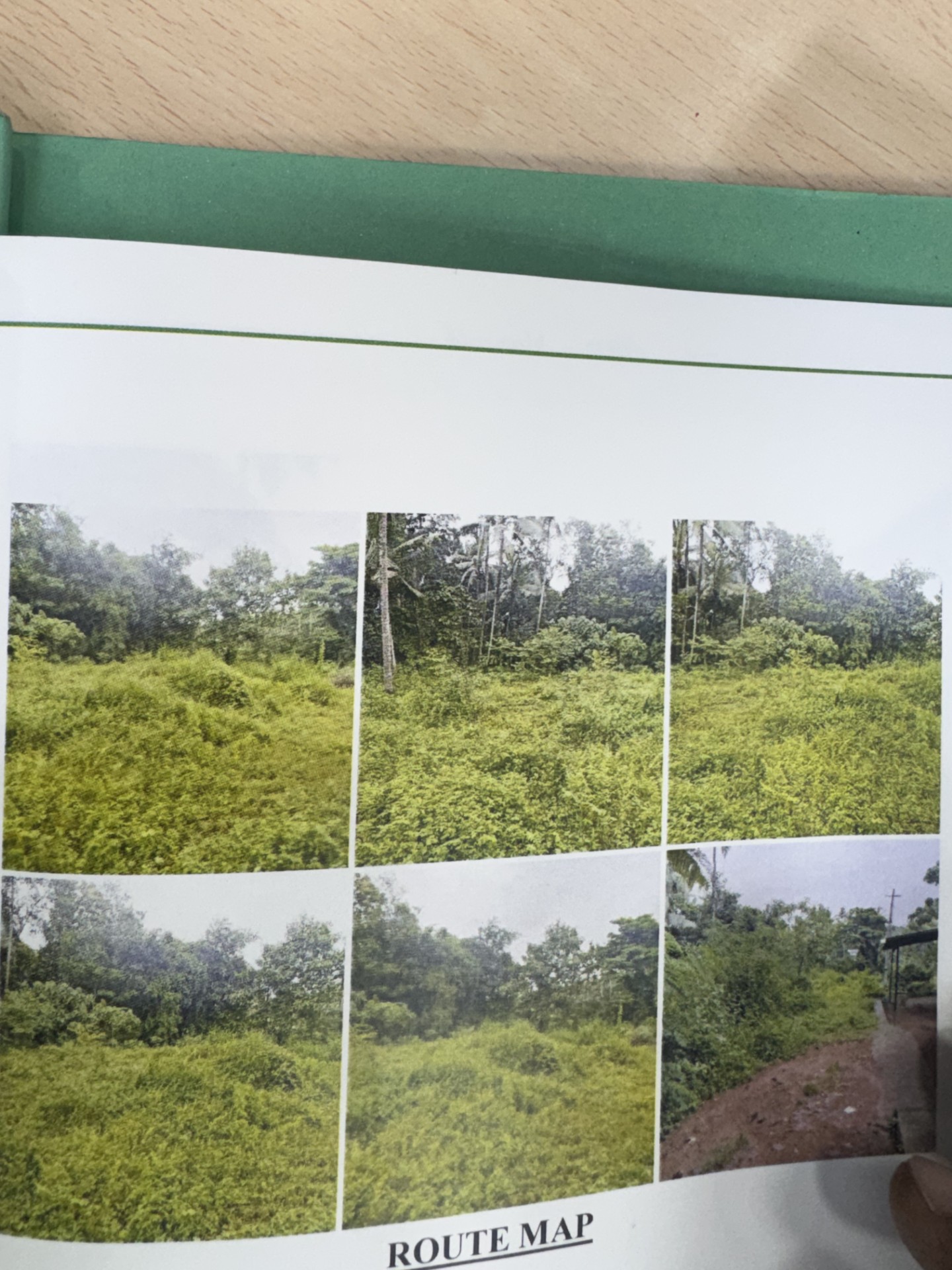 125 square feet Plot for sale in Akathiyoor