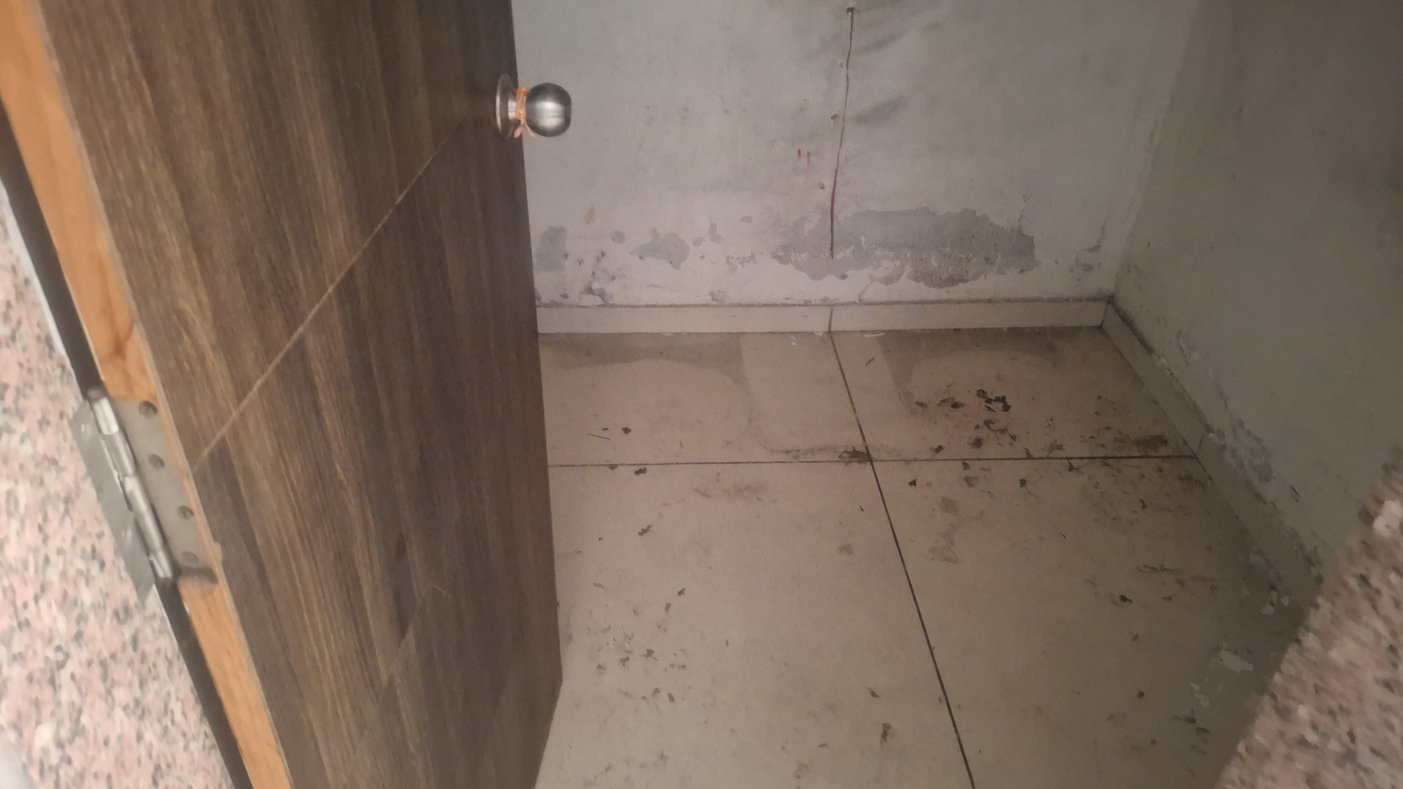 87.73 square meter Flat for sale in gorwa Vadodara — photo 10