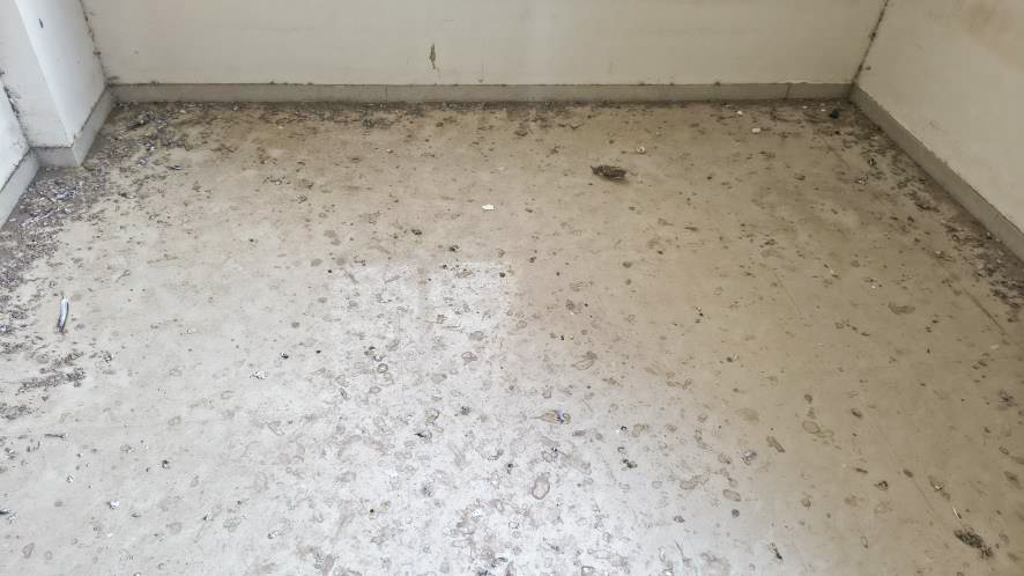 3 BHK Flat for sale in Aadesh Apartment, Rajkot Rajkot — photo 7