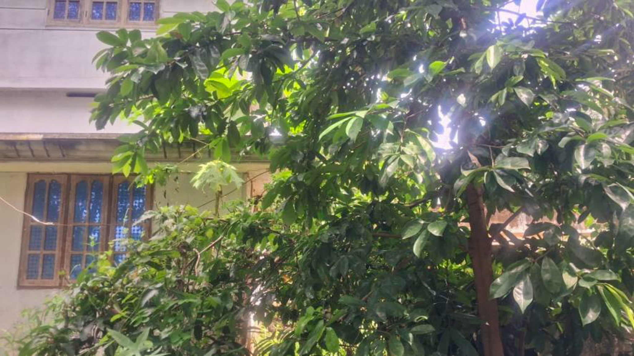 Individual House for sale in CHIRAYINKEEZHU Alamcode