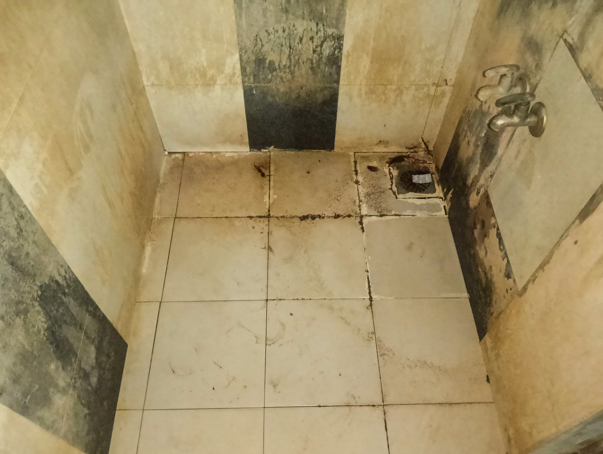 Flat for sale in Gotri, Vadodara Vadodara — photo 7