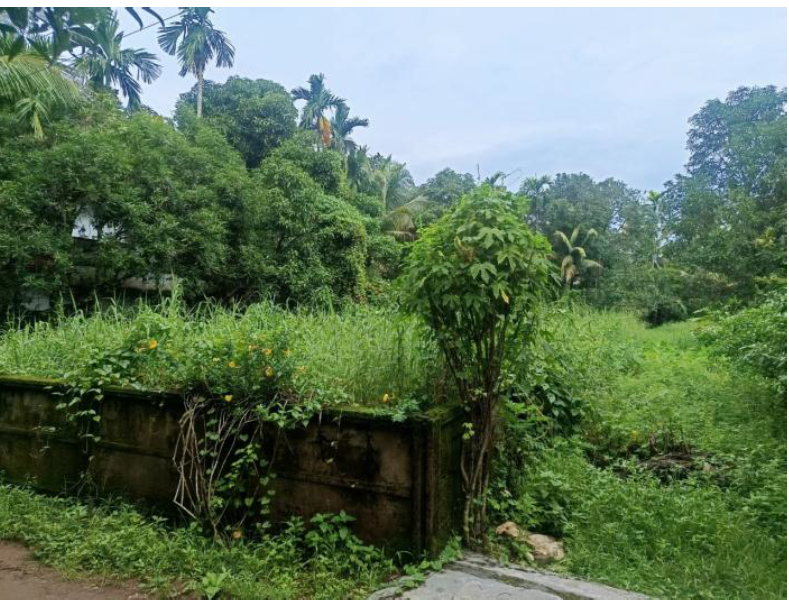 Plot for sale in Kattur — photo 3