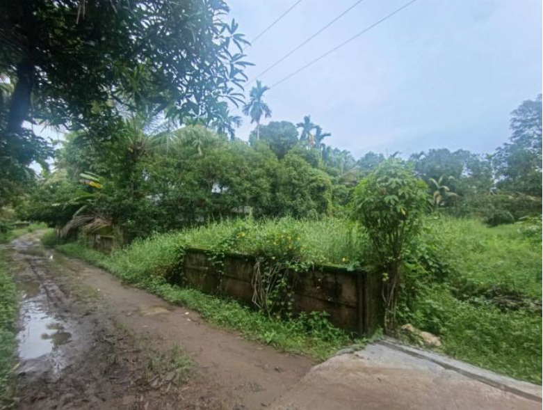 Plot for sale in Kattur