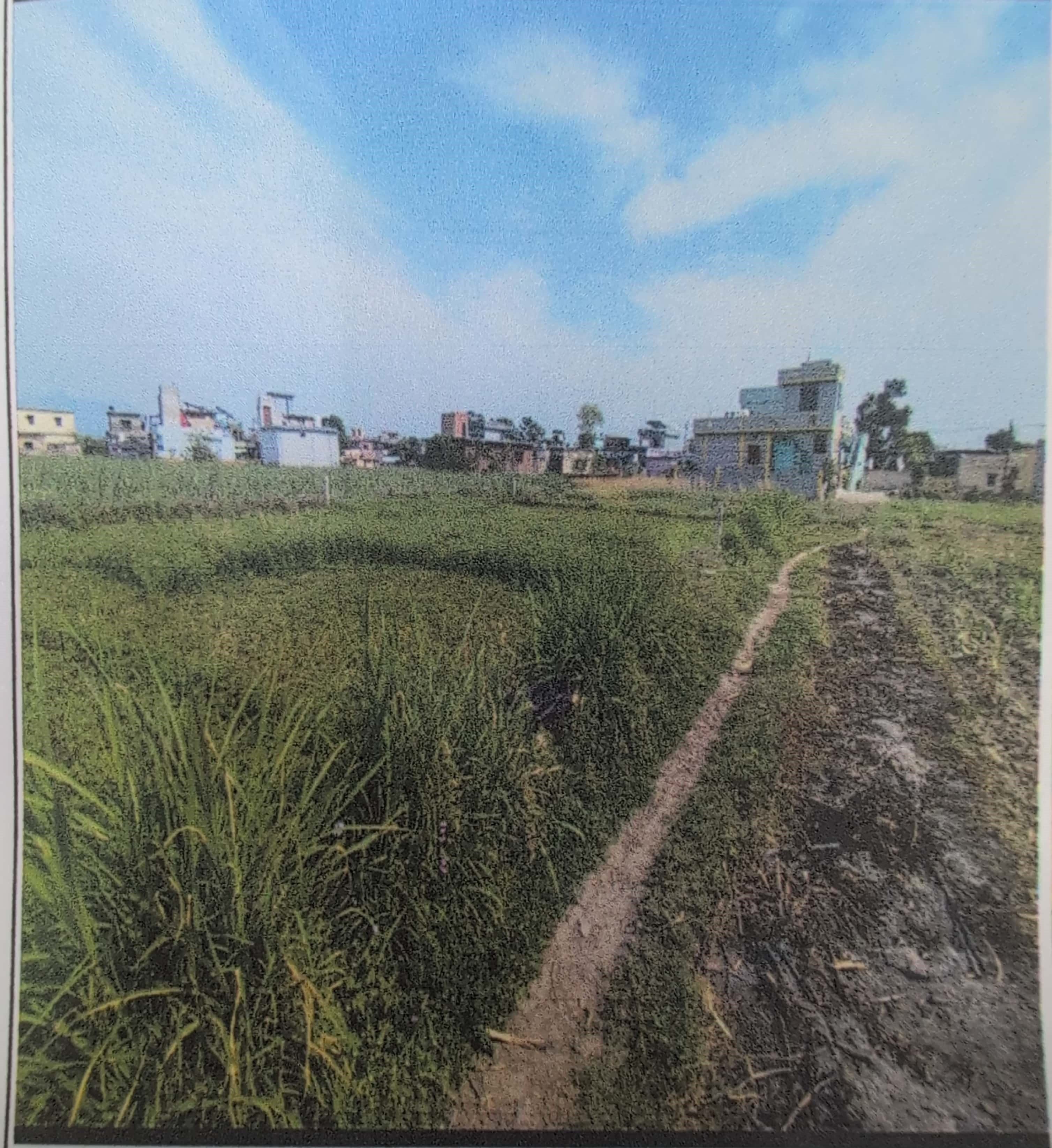 188.19 square meter Plot for sale in Dehradun — photo 1