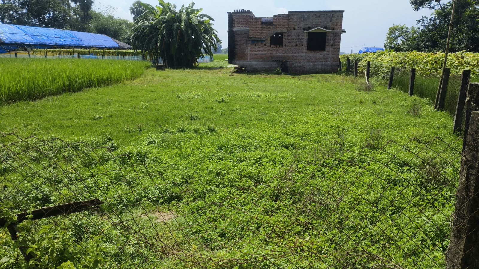 5896 square feet Plot for sale in Burdwan