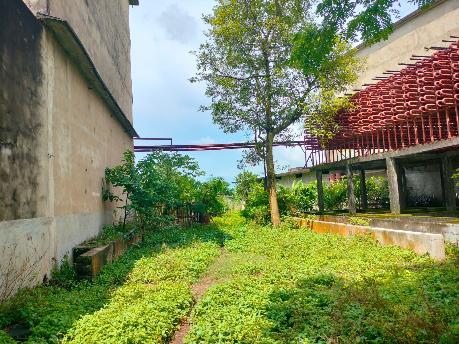 Industrial Plot with Factory Building for sale in NEAR PRABATPUR HIGH SCHOOL Khanpur Hooghly — photo 10
