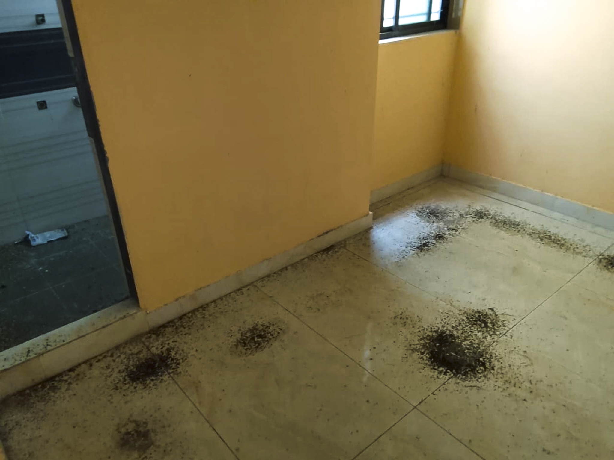 47.73 square meter Individual House for sale in PORBANDAR Porbandar — photo 7