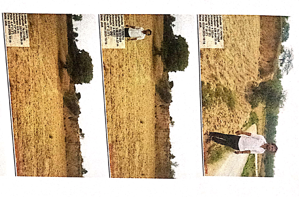 1416 square meter Plot for sale in Kotputli — photo 3
