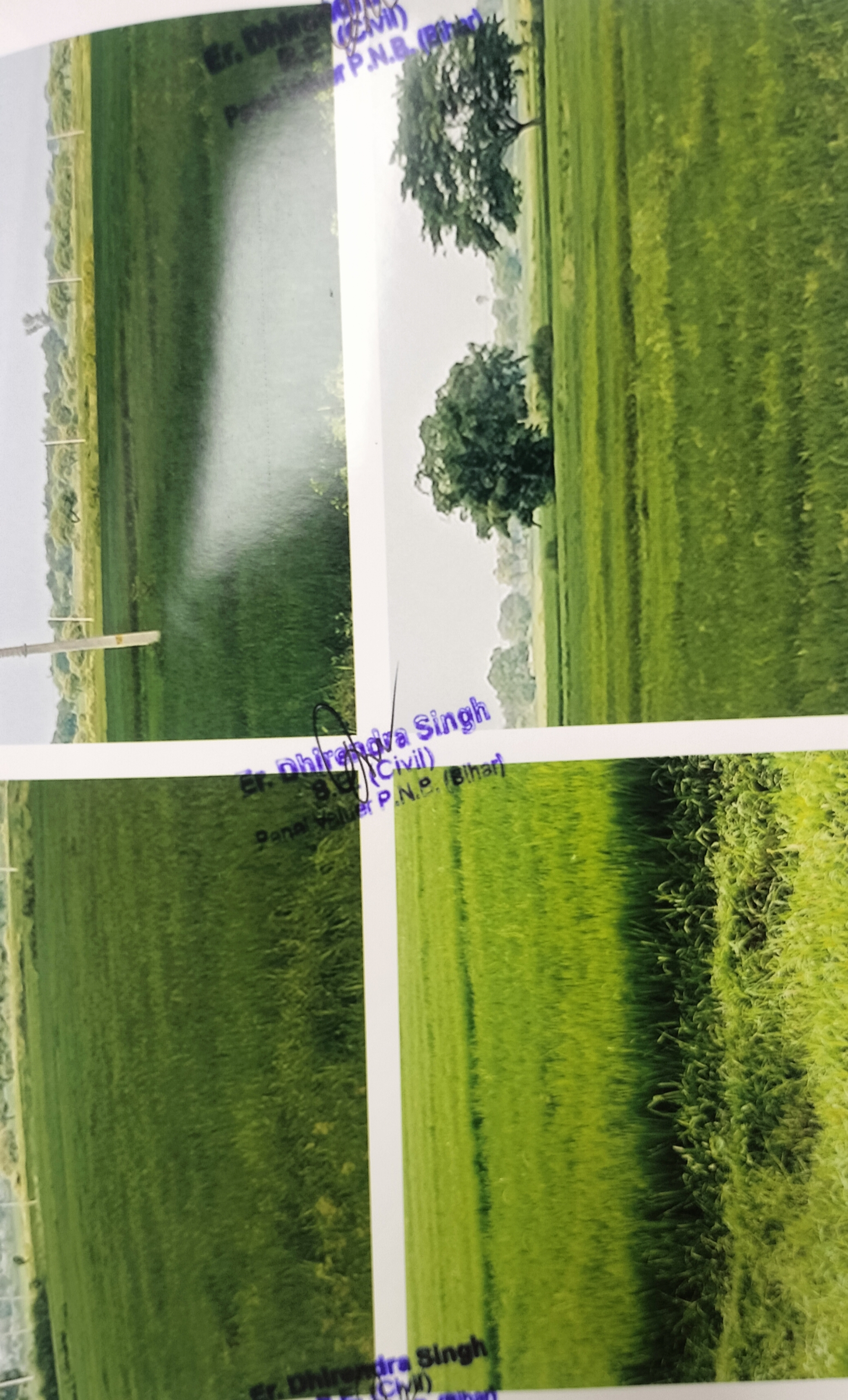 Others for sale in Arrah