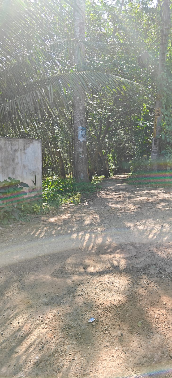 Plot for sale in Neyyattinkara — photo 3