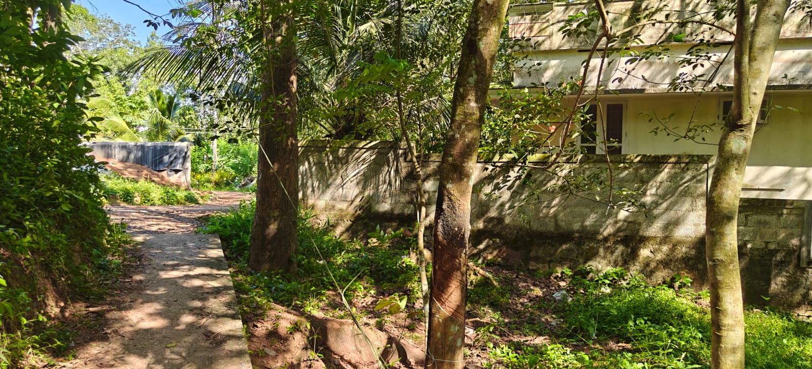 Plot for sale in Neyyattinkara — photo 5