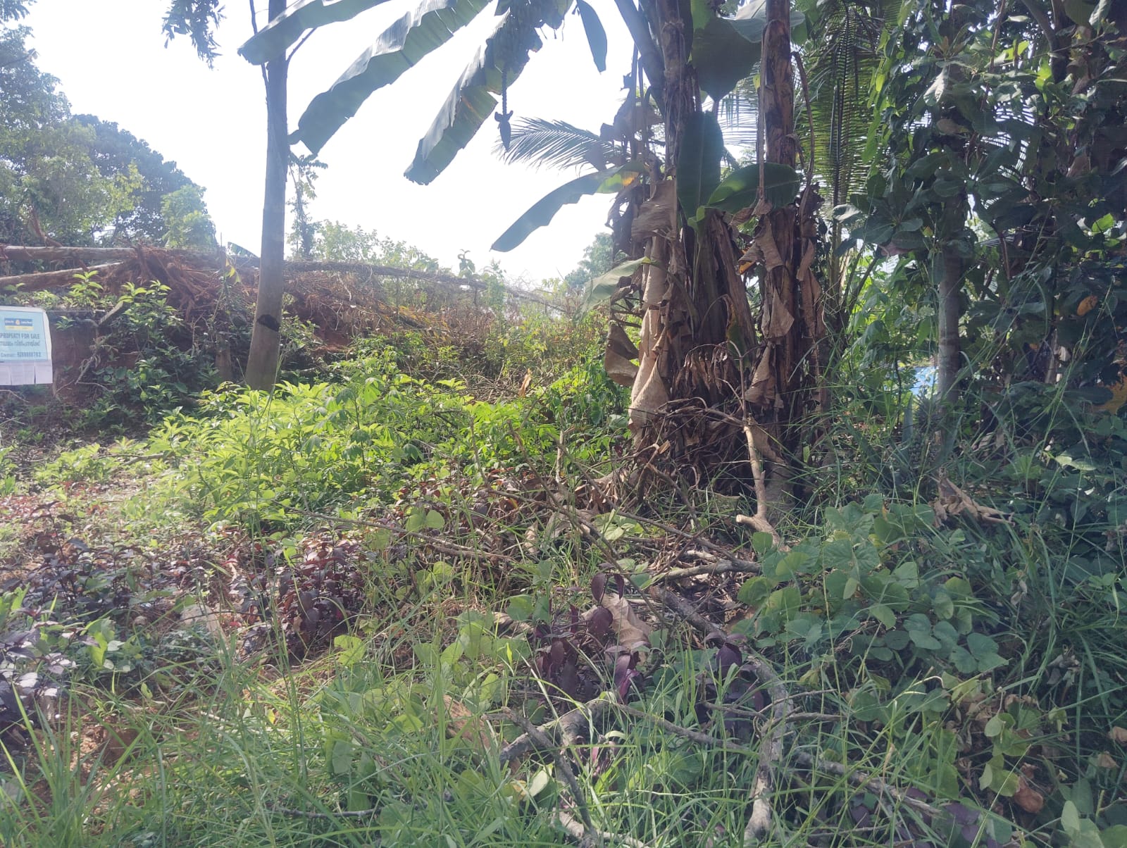 Plot for sale in PAMPADY — photo 1