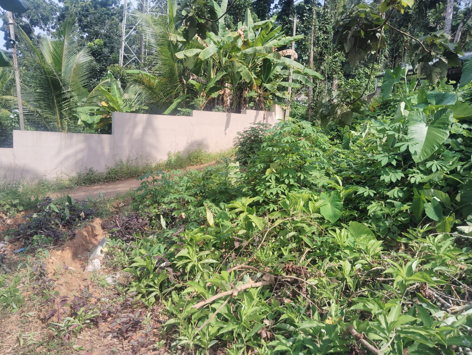 Plot for sale in PAMPADY — photo 2