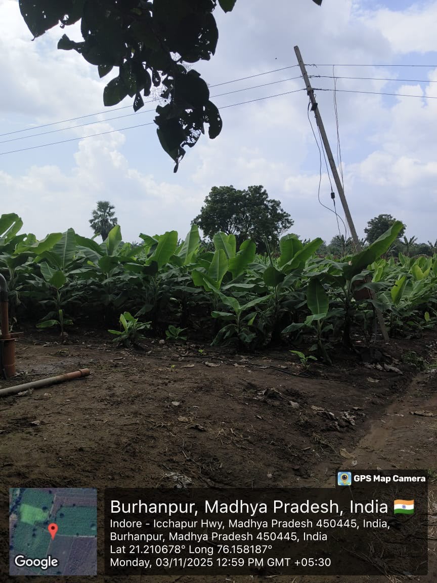 Agriculture Land for sale in MUKTAINAGAR JALGAON MAHARASHTRA Muktainagar — photo 4