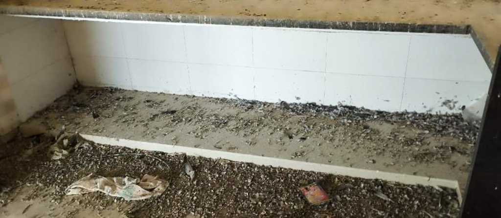 Individual House for sale in Baba Sawam Singh Nagar Beas — photo 14