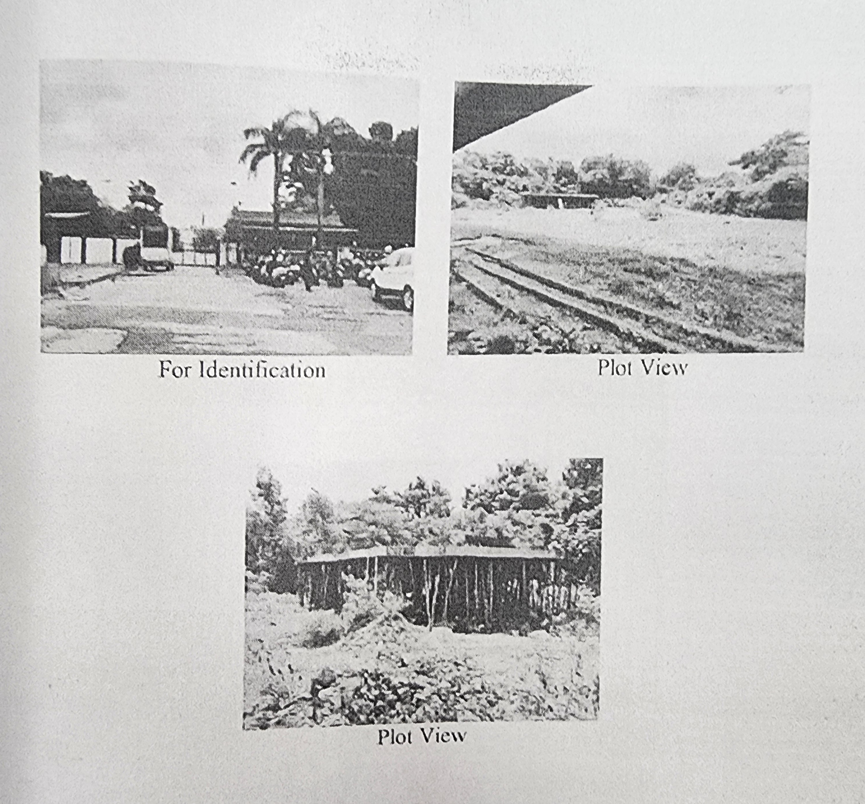 Plot for sale in Bandora
