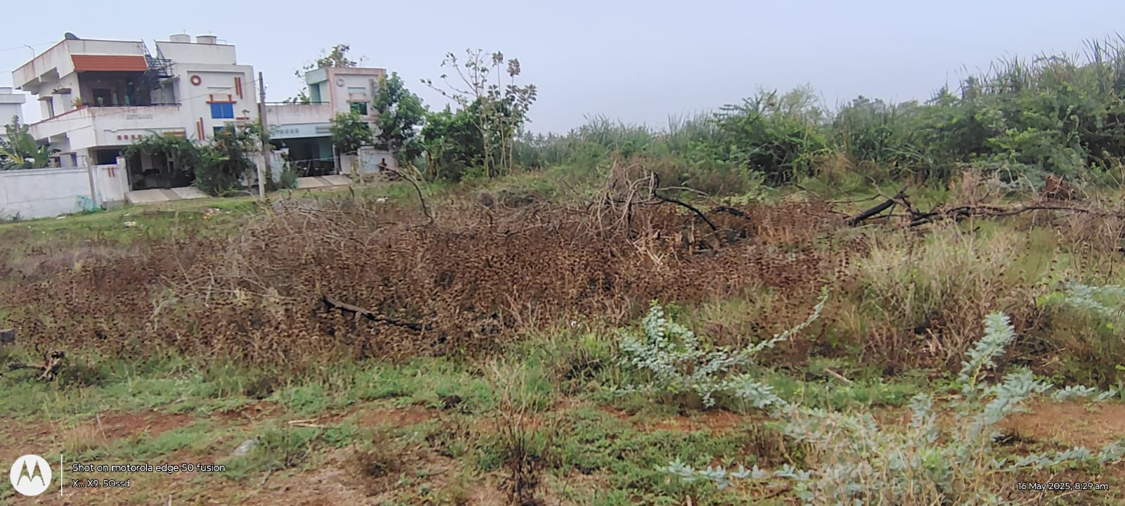 Plot for sale in Duggirala Village and Gram Panchayat, Pedavegi Mandal Tadepalle